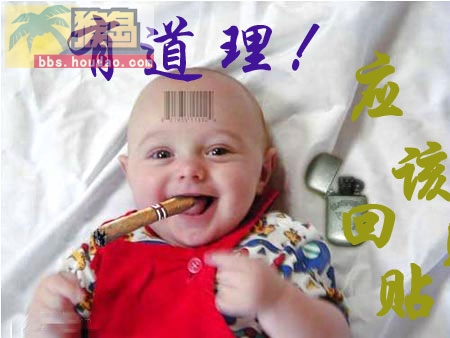 打一个代码在猴岛这,会显示qq秀
