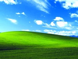 揭秘XP默认桌面背景:观众超十亿 身价须保密