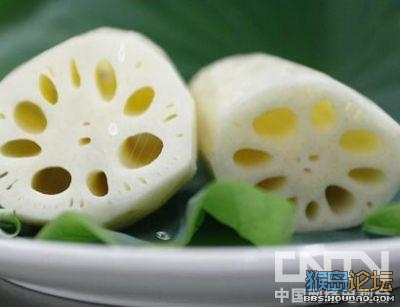 去火食物排行