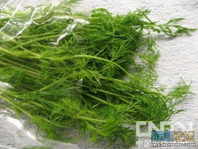 去火食物排行
