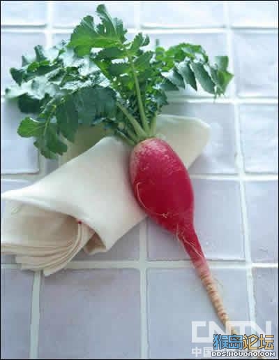 去火食物排行