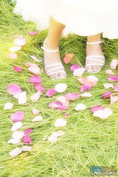 假如没有幻想,爱情还会美吗?
