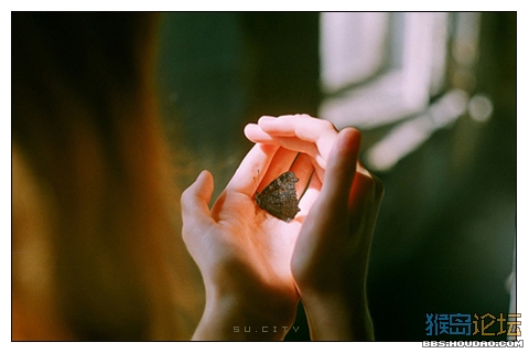 宽容的境界