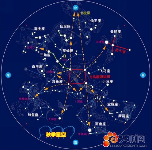 揭穿十二星座女的爱清谎言