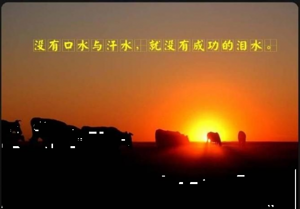 点击查看原图